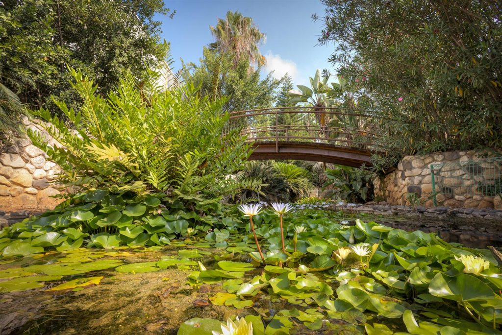 Discover nature in our very own botanical garden